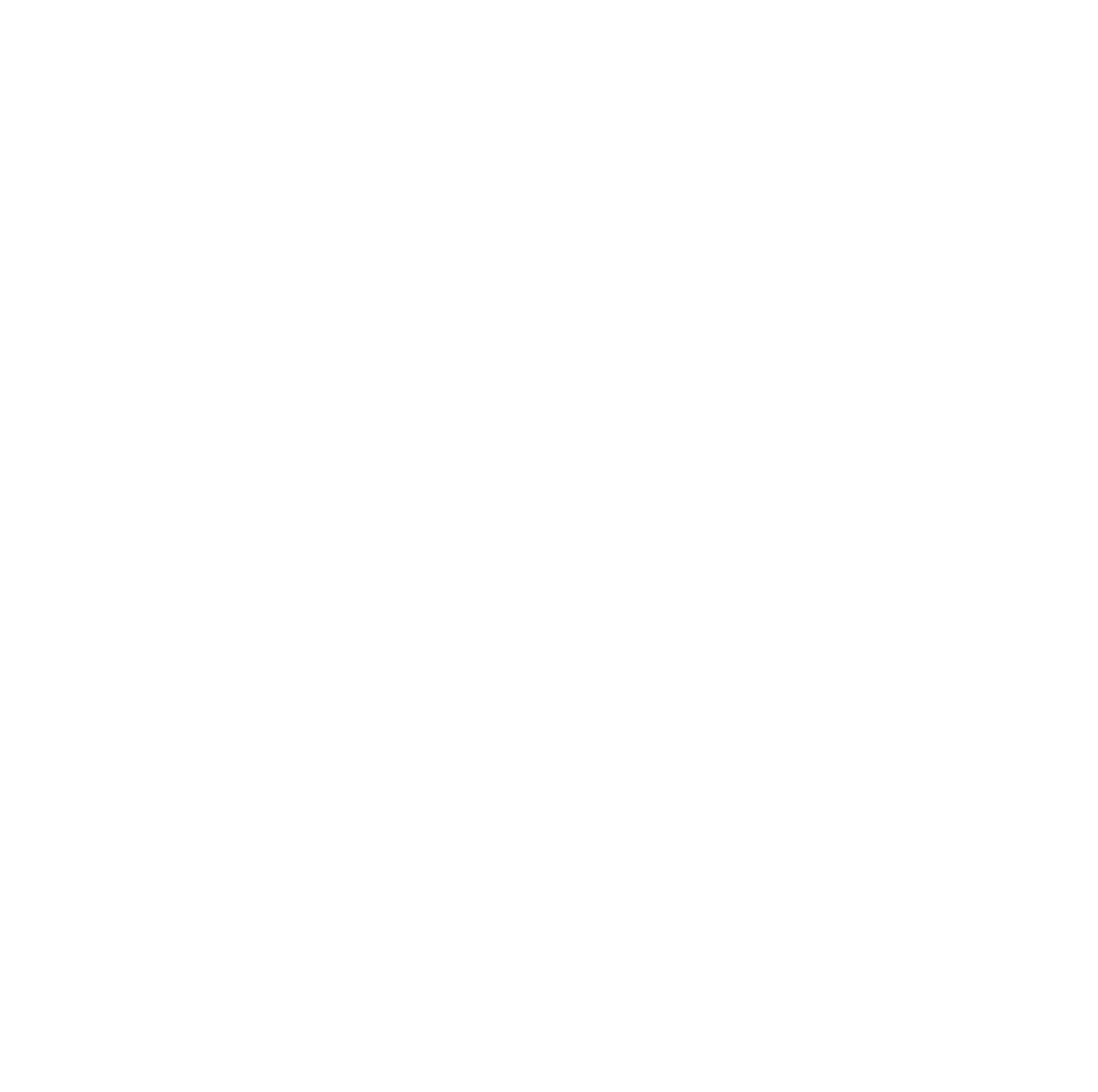 DZ Solutions - A Full Service Technology Consultancy